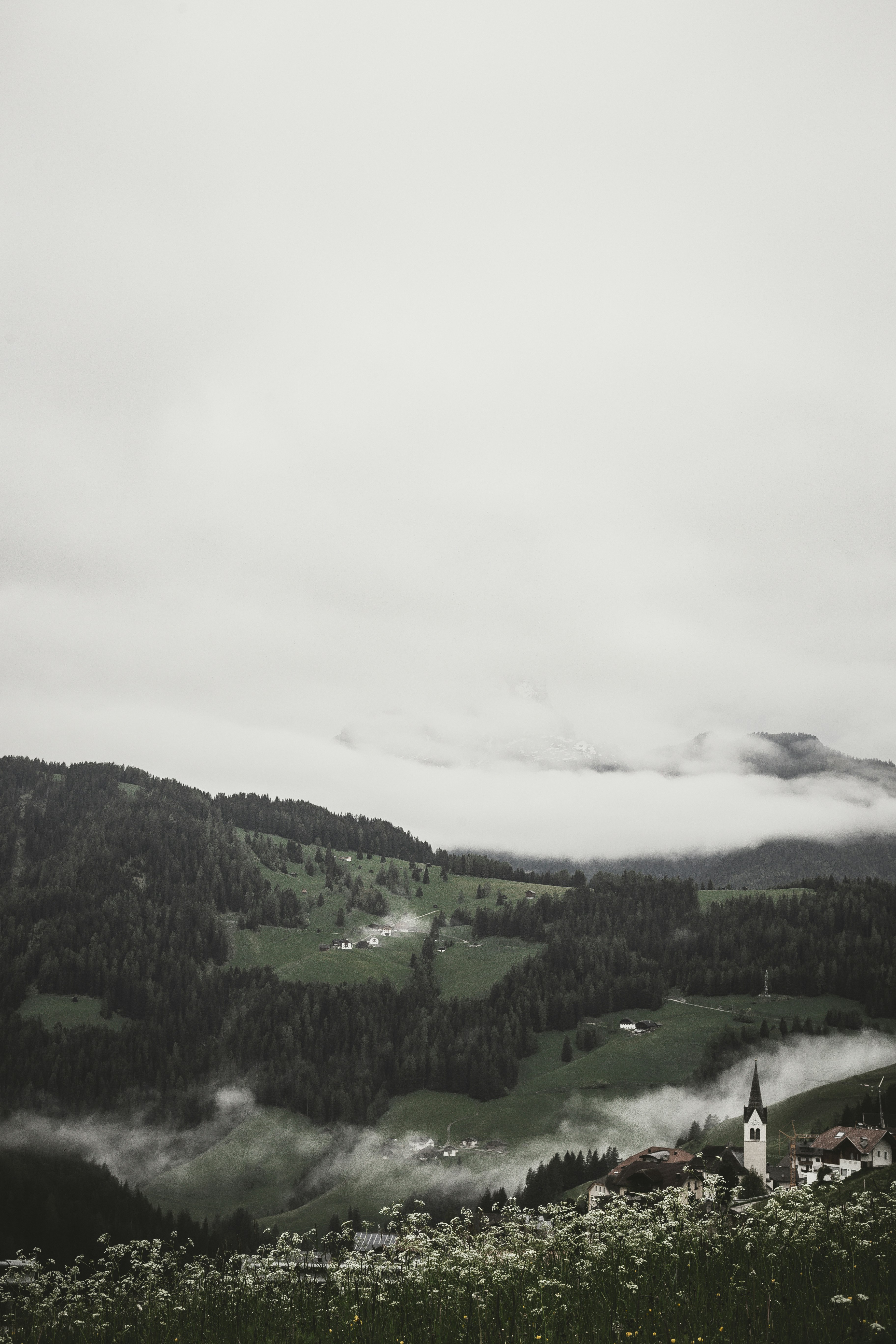 green trees under white clouds during daytime